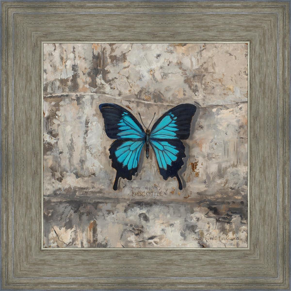 Become Procilla Beauty